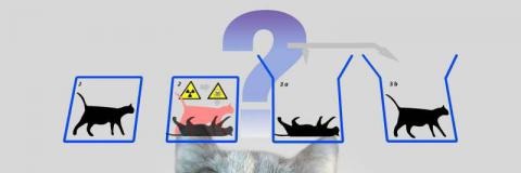 mobrant94's profile banner image