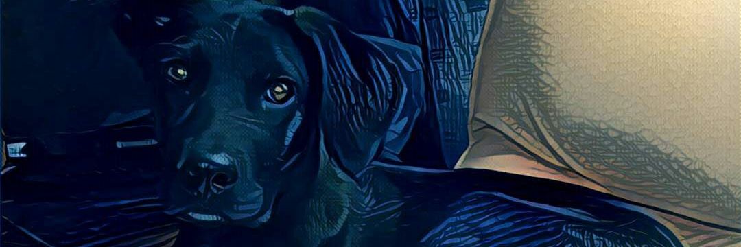 MigueAngelAV's profile banner image