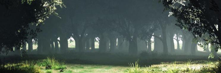 Lynchangoogle's profile banner image