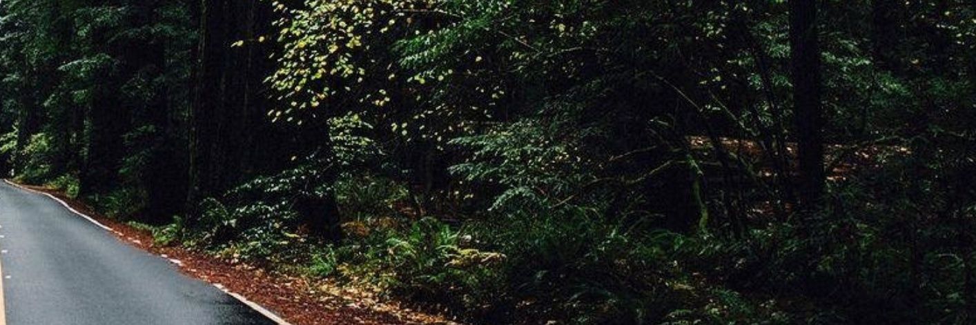 BlueStone_LLC's profile banner image