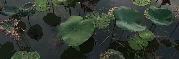 elliott bertrand Profile Banner