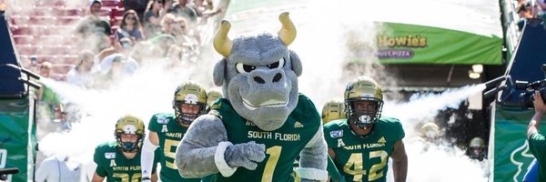 RockyD_Bull Profile Banner