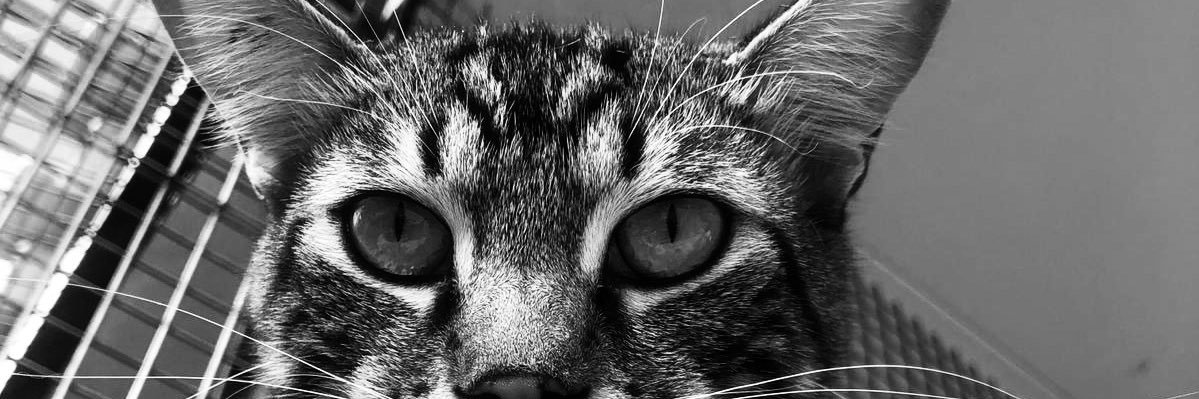 gilinskyphilip2's profile banner image