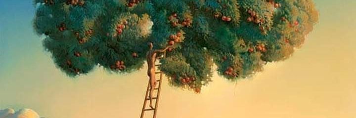 MuhdHalepota's profile banner image