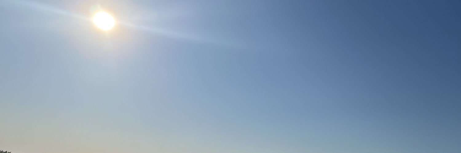 ﾋﾞｰﾁｮｺ banner