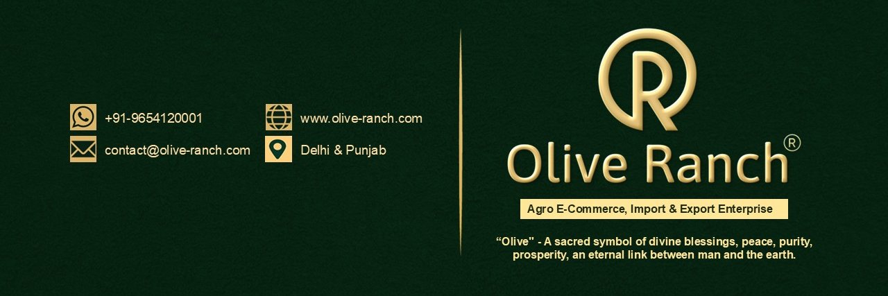 Olive_Ranch_'s profile banner image
