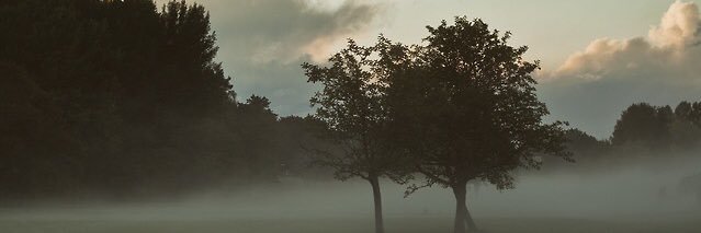 BenRenfrew's profile banner image