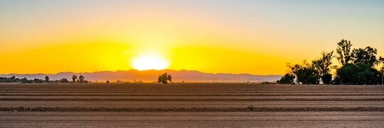 XosseTrinidad's profile banner image