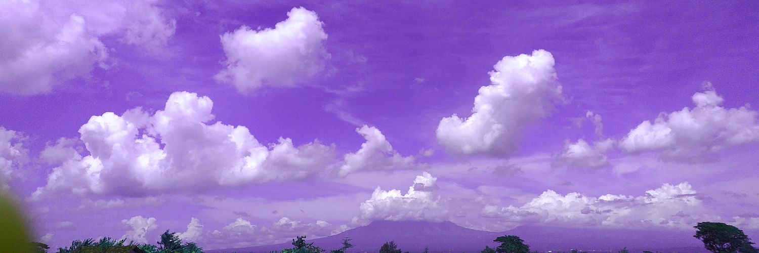 ItsSunflower7's profile banner image