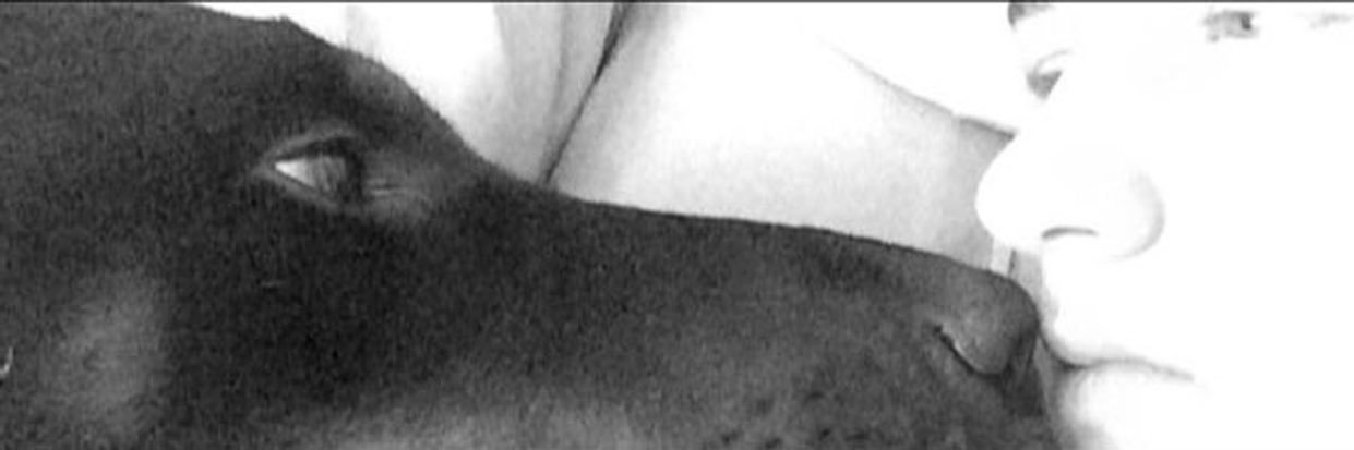 mattkav18's profile banner image