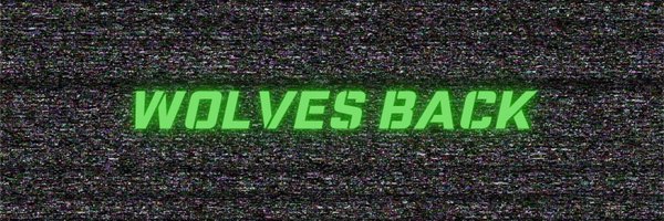 WolvesAfterDark Profile Banner