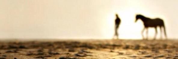 zaf7771's profile banner image