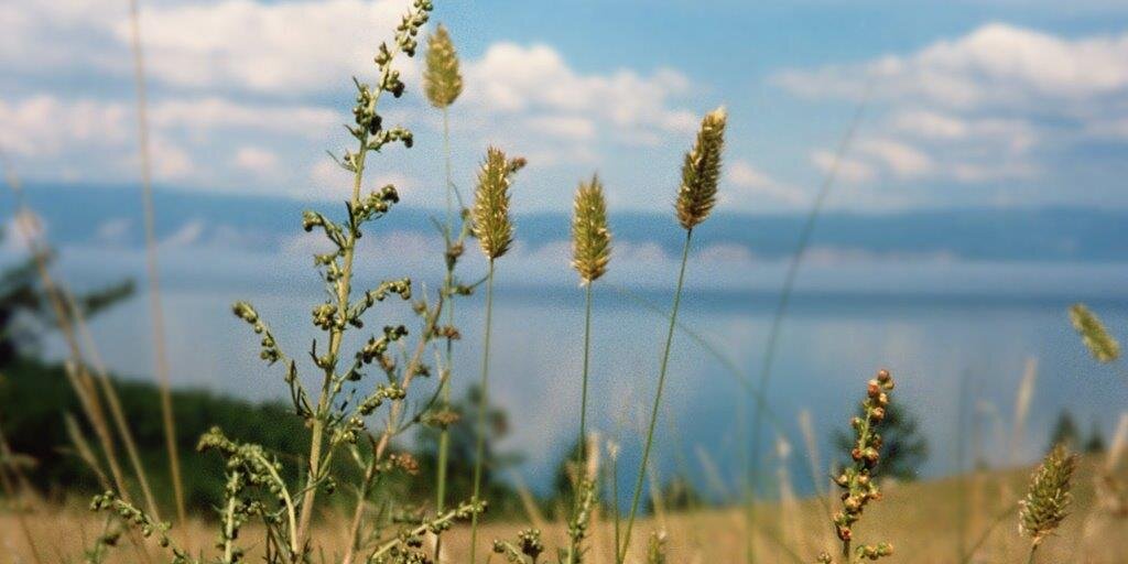 Trova_adiccion's profile banner image