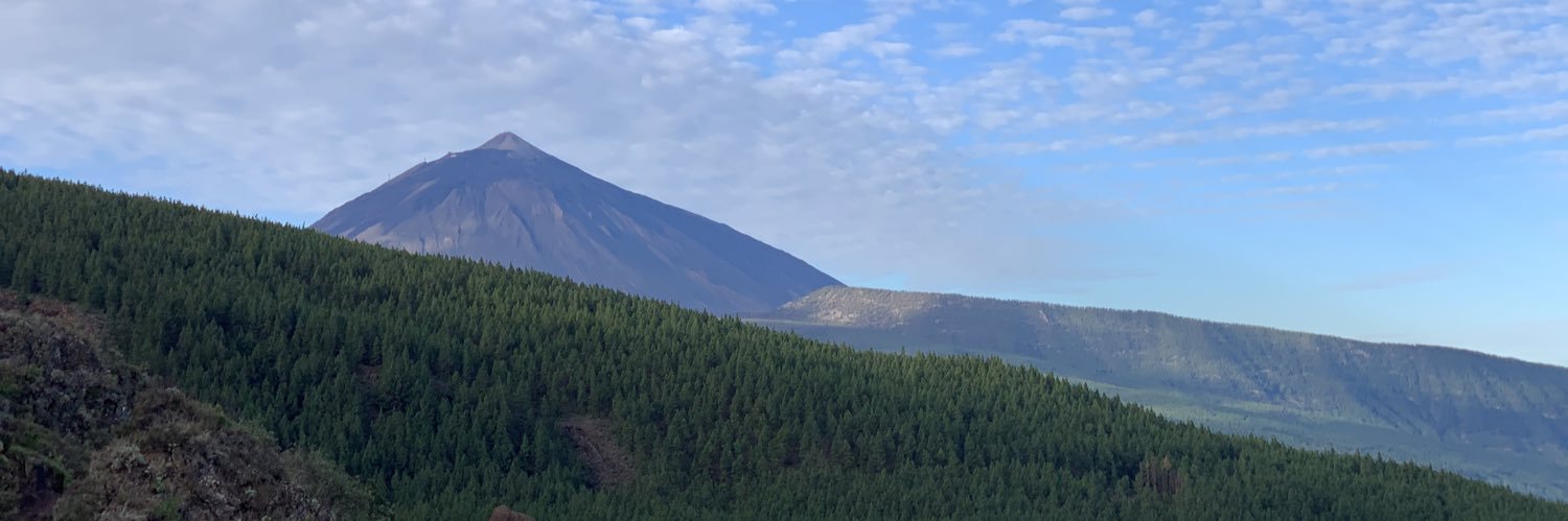 Pedrodqh's profile banner image