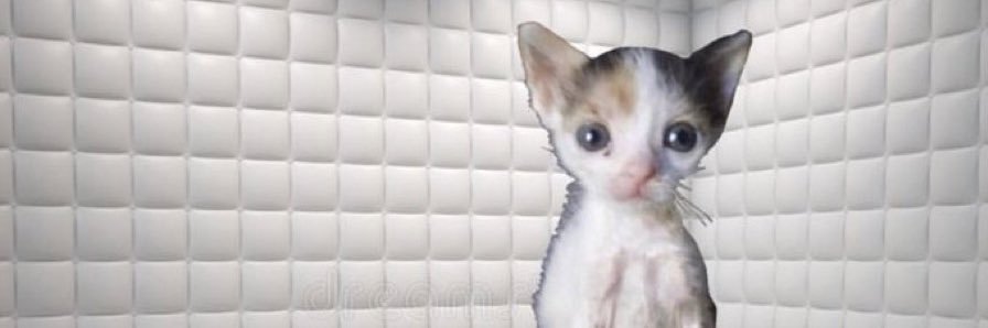 jacob0142's profile banner image