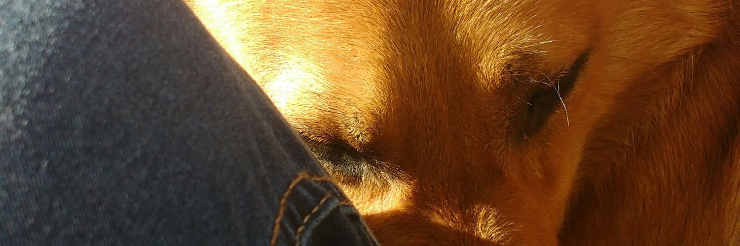 G_hammes's profile banner image