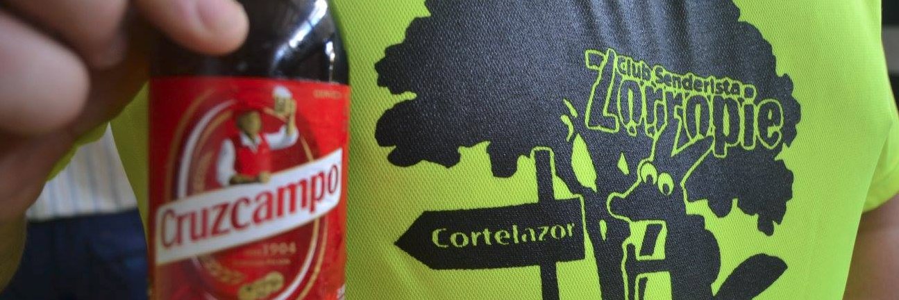 zorropie's profile banner image