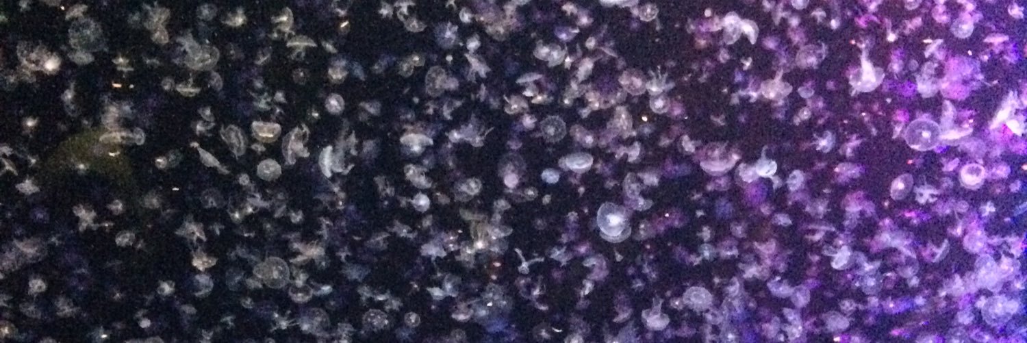 Lyaco's profile banner image
