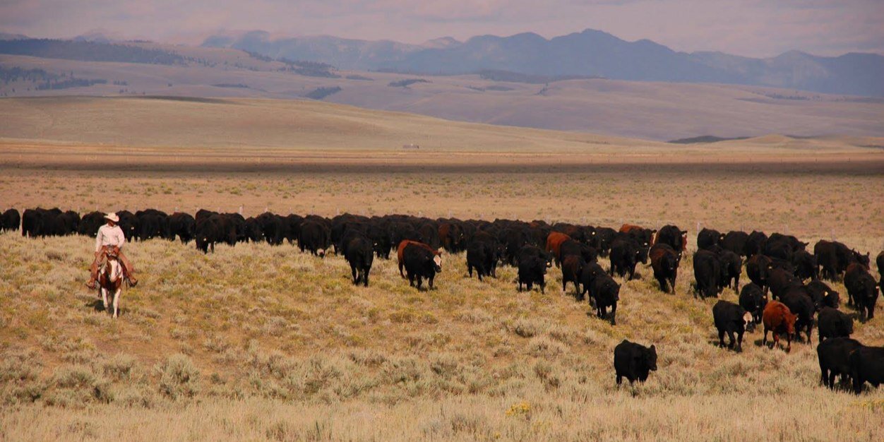 Greg Henderson banner