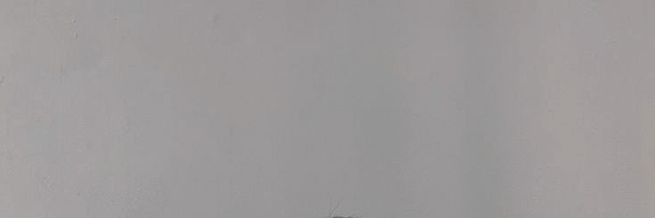 f. banner