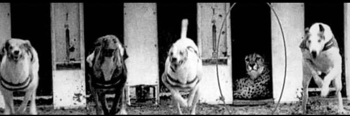 K banner