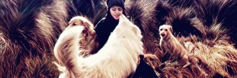 tiffabu7's profile banner image
