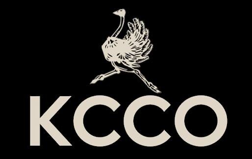 TexasChivette25's profile banner image