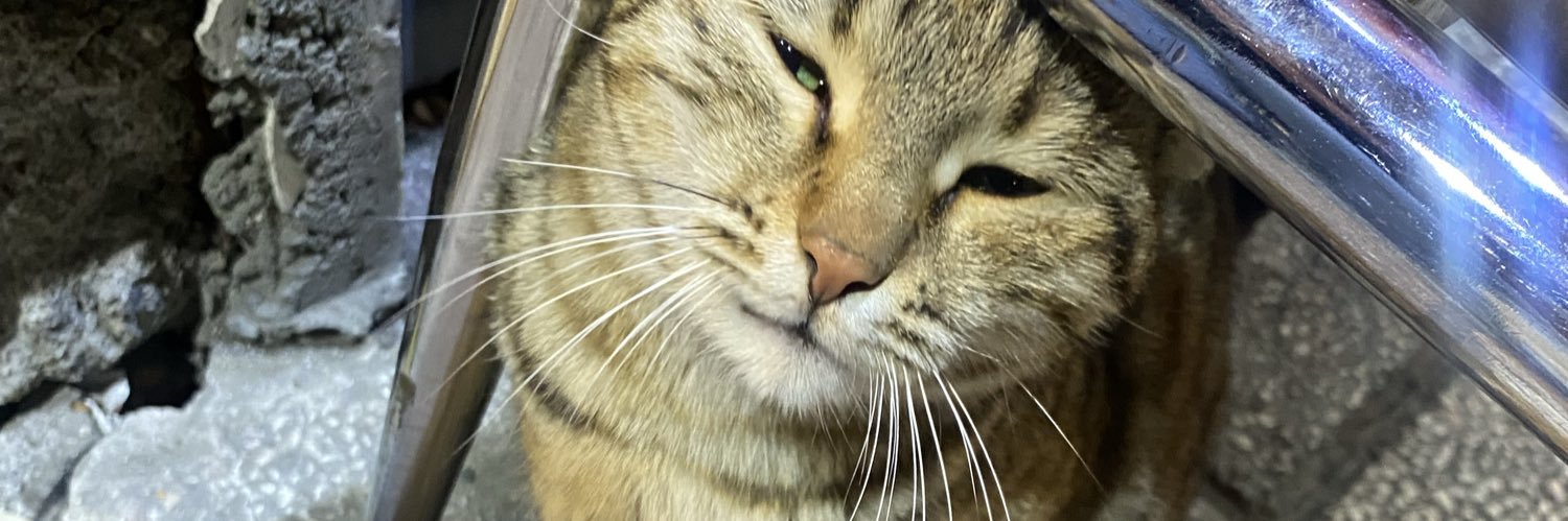 Skywalker🇮🇷🇮🇱 banner