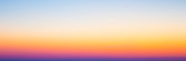 yellowrabbit67's profile banner image