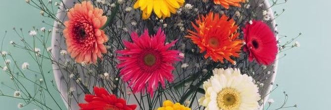 沐暄 banner