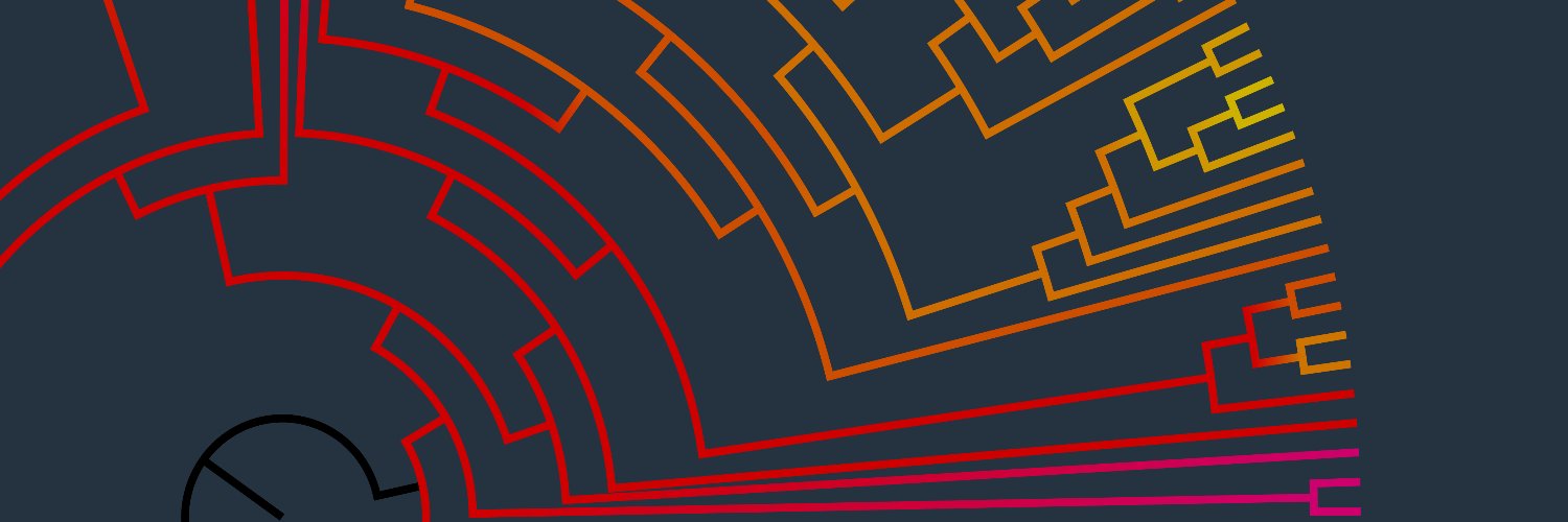 Jamie Gorzynski banner