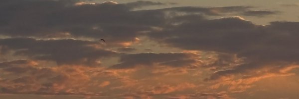 RAF_BTC Profile Banner