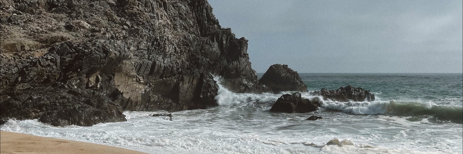valexnicole's profile banner image