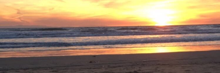 S✨ banner