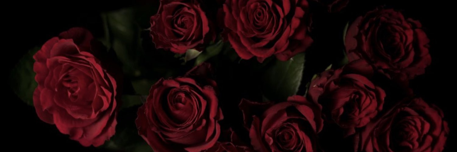 avcansualpdogan's profile banner image