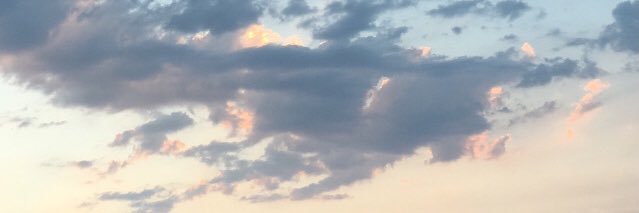 dcora131's profile banner image