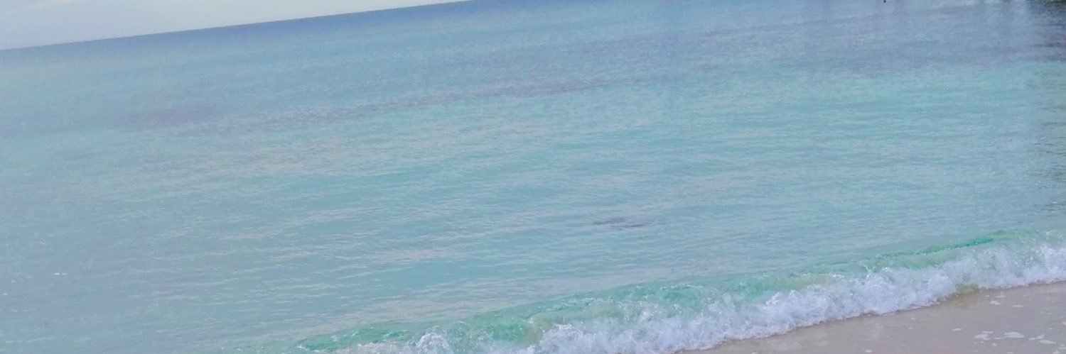 for_me_sum's profile banner image
