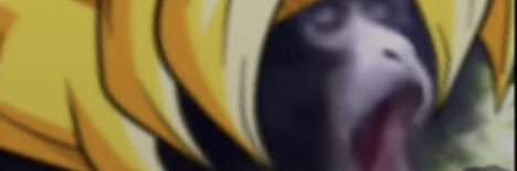 MonkeyNuggetDealer banner