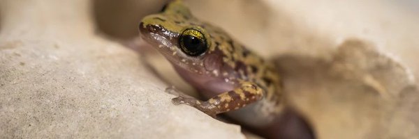 Test_Dude105 Profile Banner