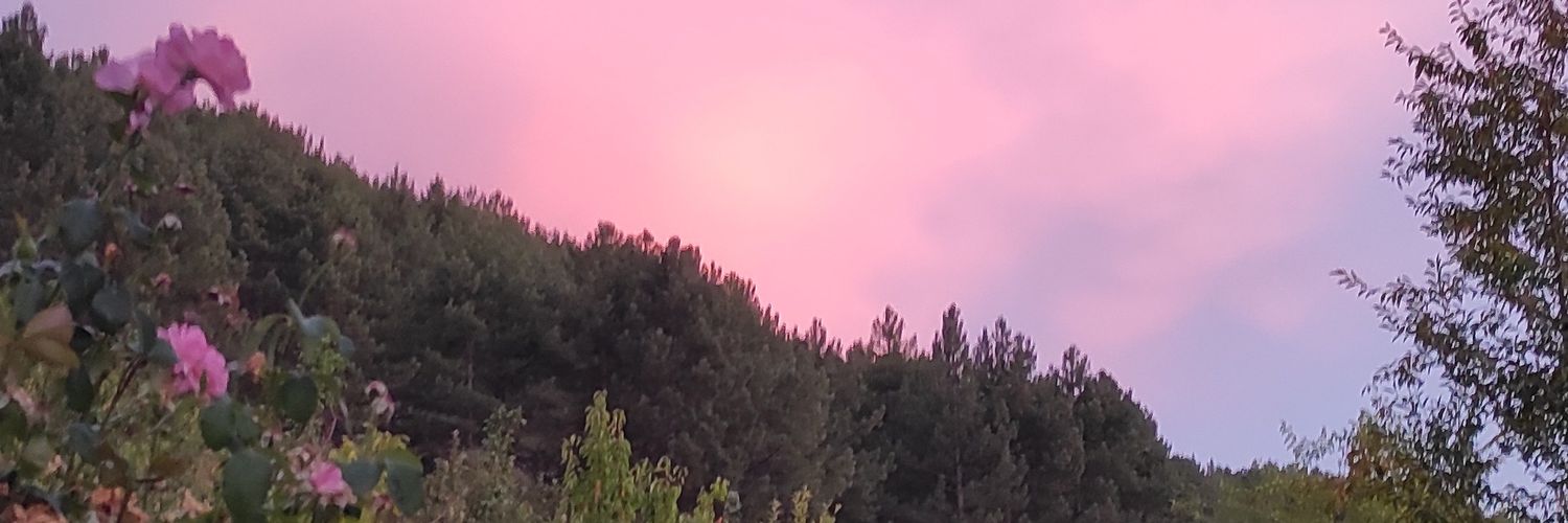 Sevdlinka_'s profile banner image