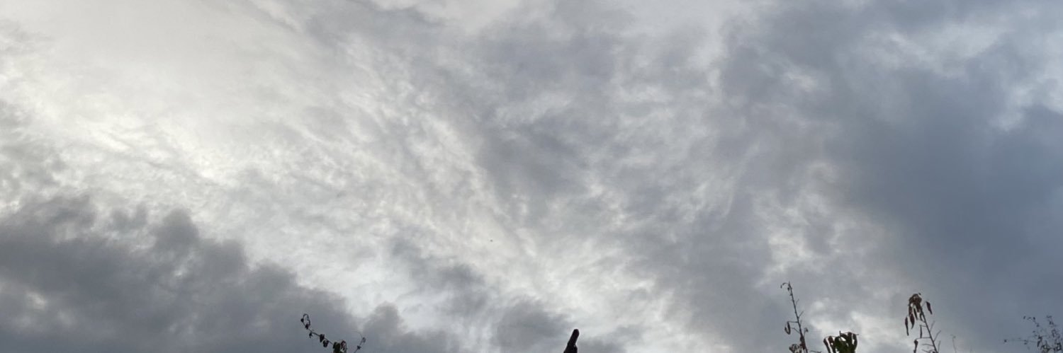 arynpekik's profile banner image