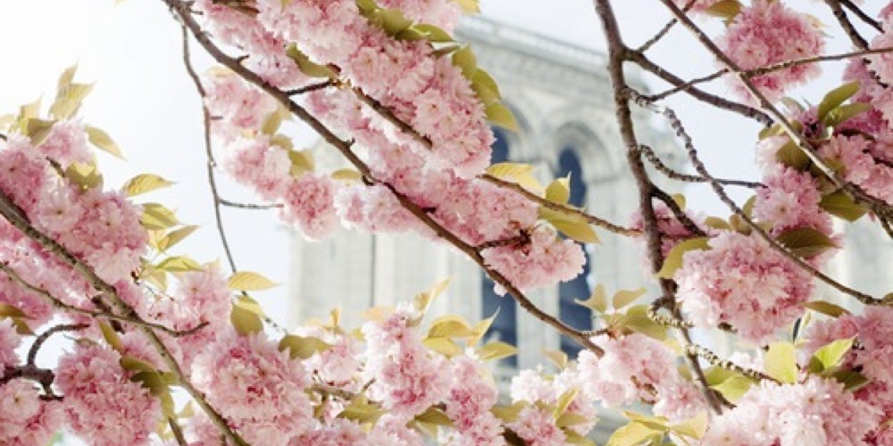 HappyCatholic74's profile banner image