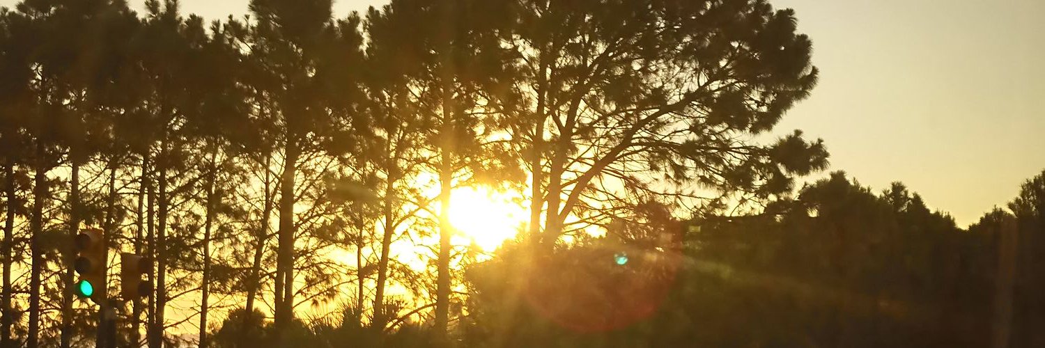 Pia_FGT's profile banner image