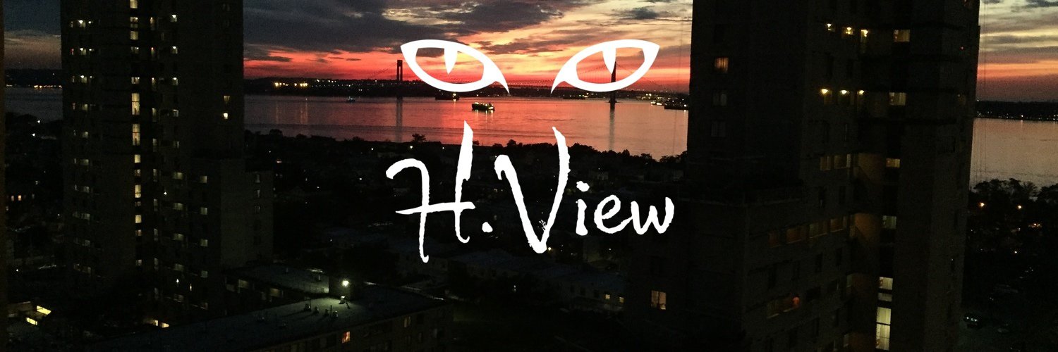 HVIEWtv's profile banner image