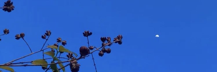 LikeTheApple__'s profile banner image