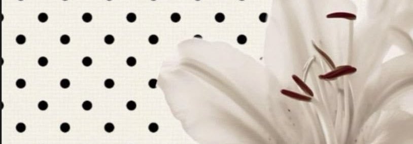 lilysud_'s profile banner image