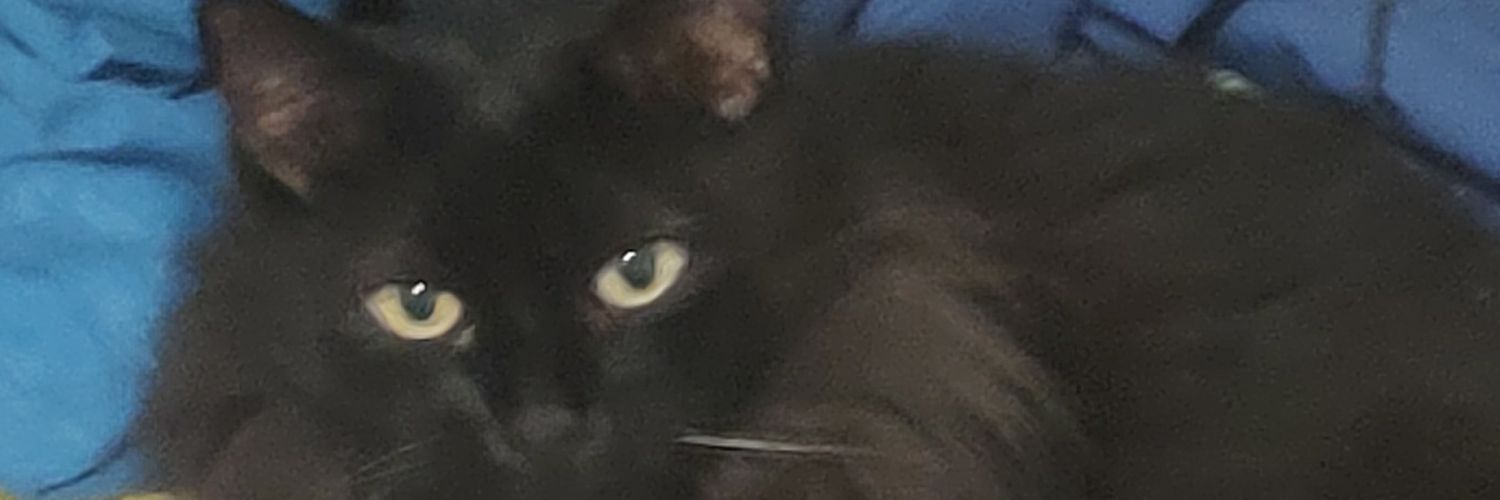 butt3rflay_'s profile banner image
