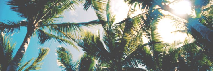 lauren__mock's profile banner image
