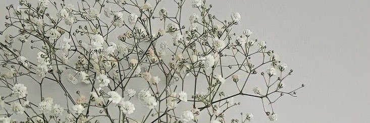 vegamandaaa's profile banner image