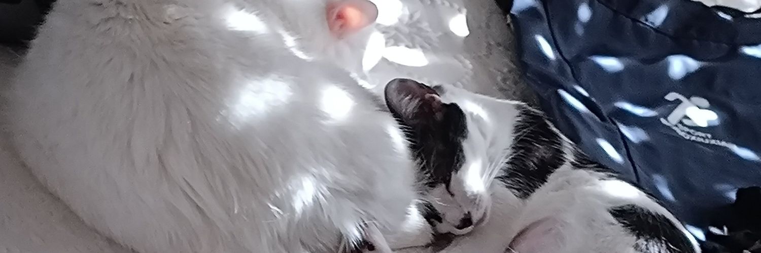 IZ4CK23's profile banner image